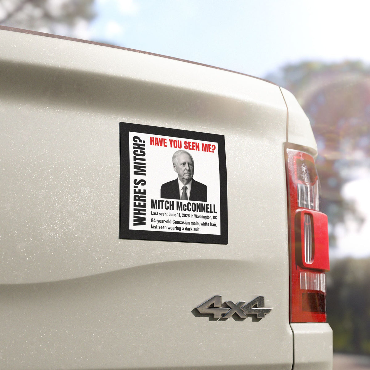 Political Humor Car Magnet — "Missing? Have You Seen Me?" Novelty Campaign Magnet