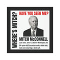 Political Humor Car Magnet — "Missing? Have You Seen Me?" Novelty Campaign Magnet