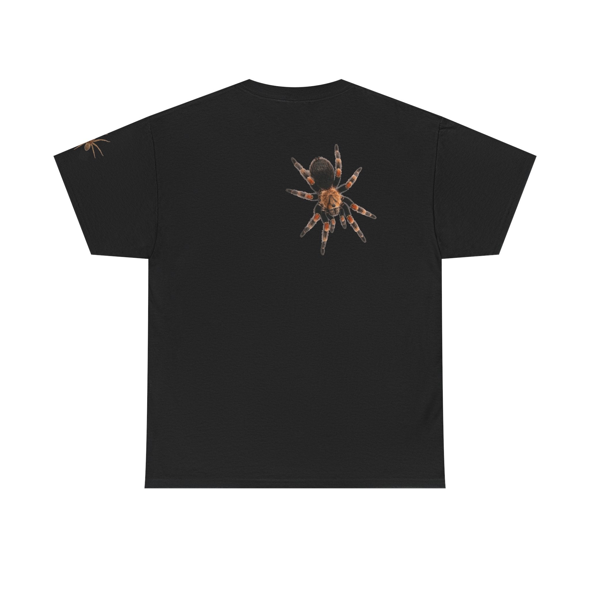 I Love Spiders T‑Shirt — Tarantula Lover Tee
